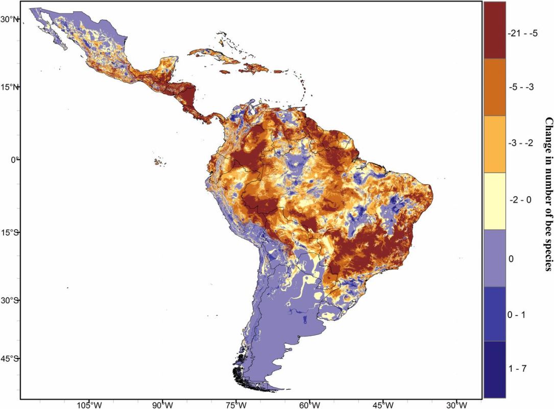 Change in number of bee species
